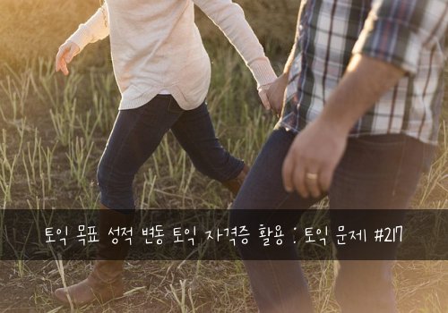 토익 목표 성적 변동 토익 자격증 활용 : 토익 문제 #217