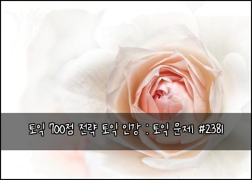 토익 700점 전략 토익 인강 : 토익 문제 #2381