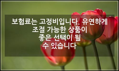 오늘의 이미지