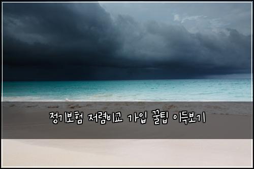정기보험 저렴비교  가입 꿀팁 이득보기