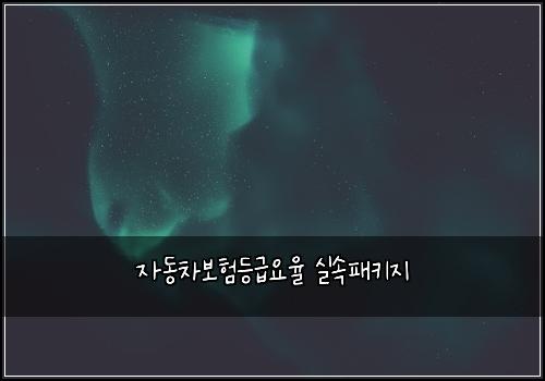 자동차보험등급요율 실속패키지