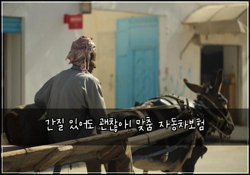 간질 있어도 괜찮아! 맞춤 자동차보험