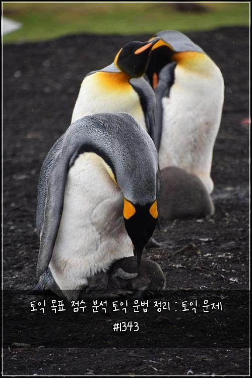 토익 목표 점수 분석 토익 문법 정리 : 토익 문제 #1343