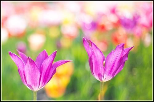 ํ ์ต ๊ณ ๋์ ์ ๋ต ํ ์ต ๋ฌด๋ฃ ๊ฐ์ : ํ ์ต ๋ฌธ์ #30_70