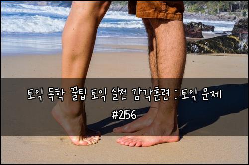 토익 독학 꿀팁 토익 실전 감각훈련 : 토익 문제 #2156