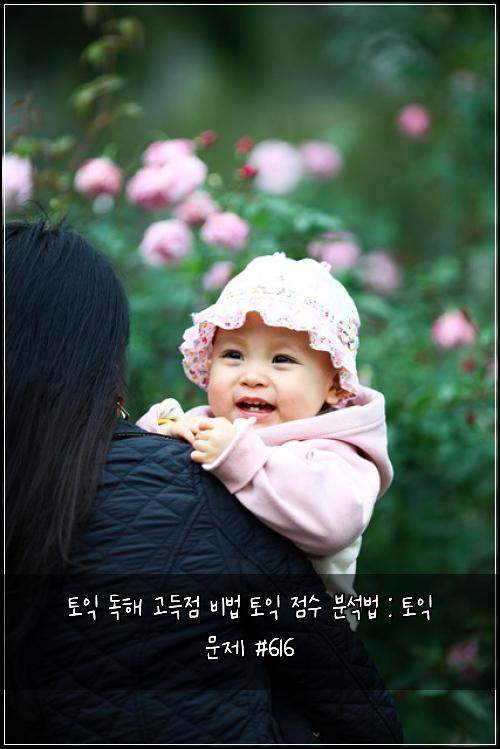 토익 독해 고득점 비법 토익 점수 분석법 : 토익 문제 #616
