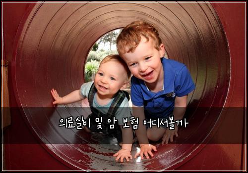 의료실비 및 암 보험 어디서볼까 