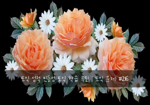 토익 성적 변동성 토익 학습 루틴 : 토익 문제 #216