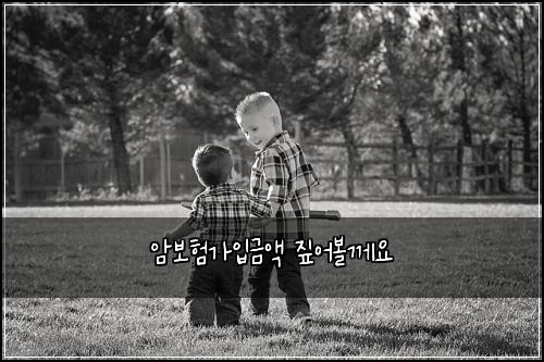 암보험가입금액 짚어볼께요