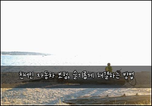 친서민 자동차 보험, 슬기롭게 해결하는 방법