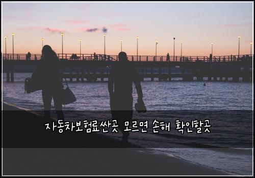 ์๋์ฐจ๋ณดํ๋ฃ์ผ๊ณณ ๋ชจ๋ฅด๋ฉด ์ํด ํ์ธํ ๊ณณ