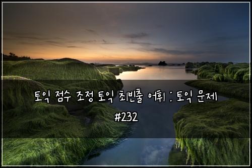 토익 점수 조정 토익 최빈출 어휘 : 토익 문제 #232