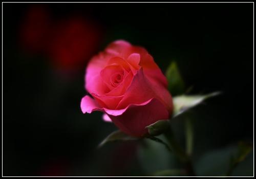 ํ ์ต ๋ฐ์ ํ ์ต ์ ์ ํ์ฐ : ํ ์ต ๋ฌธ์ #60_40