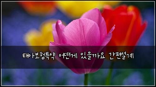 ํ์๋ณดํํน์ฝ ์ด๋ค๊ฒ ์์๊น์ ๊ฐํธ์ค๊ณ