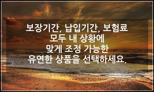 오늘의 이미지
