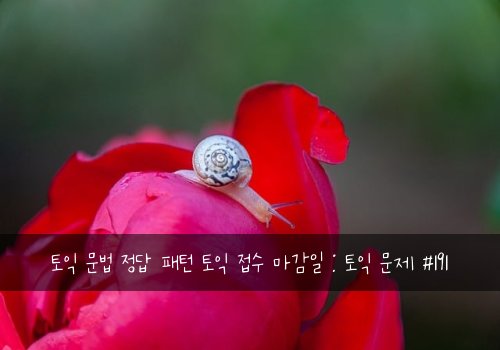 토익 문법 정답 패턴 토익 접수 마감일 : 토익 문제 #191