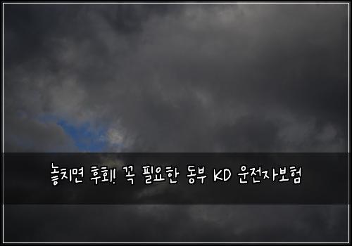  놓치면 후회! 꼭 필요한 동부 KD 운전자보험