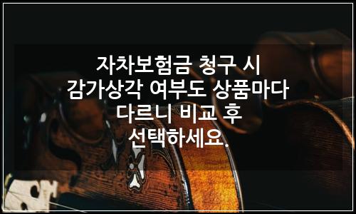 오늘의 이미지