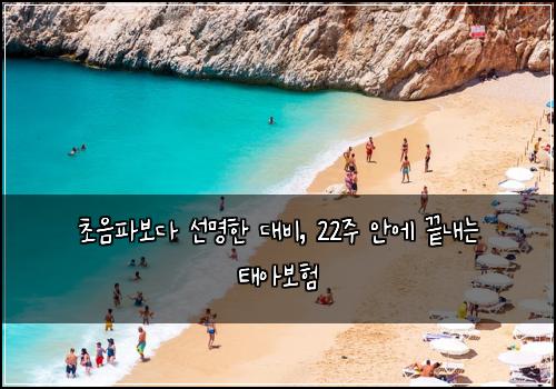  초음파보다 선명한 대비, 22주 안에 끝내는 태아보험