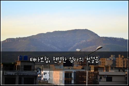 태아보험, 현명한 엄마의 첫걸음