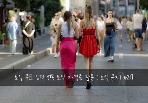 토익 목표 성적 변동 토익 자격증 활용 : 토익 문제 #217