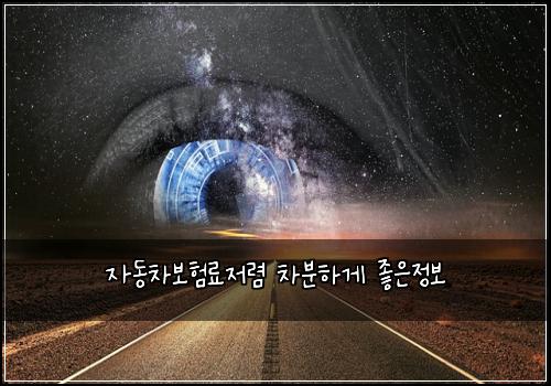 μλ차보νλ£μ λ ΄ μ°¨λΆνκ² μ’μμ 보