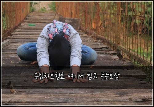 ์์
์ฐจ๋ณดํ๋ฃ ์ฌ๊ธฐ์ ์ฐธ๊ณ ๋ ๋ ๋ณด์