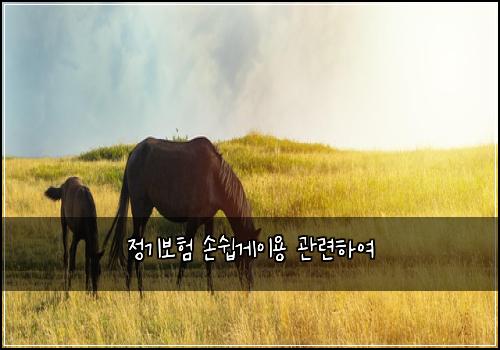 정기보험 손쉽게이용  관련하여