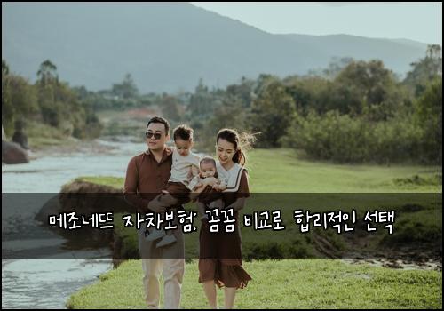 메조네뜨 자차보험: 꼼꼼 비교로 합리적인 선택