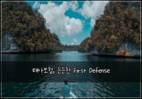 태아보험, 든든한 First Defense