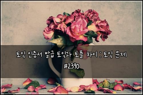토익 인증서 발급 토익과 토플 차이 : 토익 문제 #2390