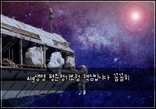 aig생명 평준정기보험 핵심입니다  꼼꼼히