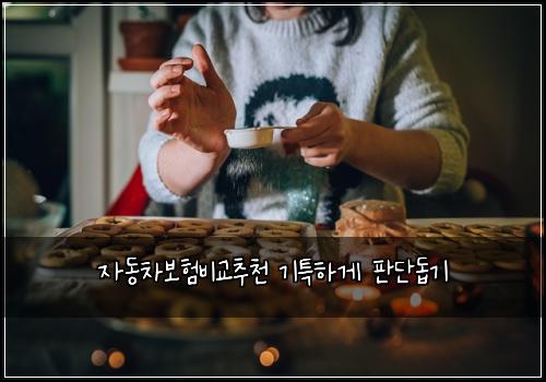 자동차보험비교추천 기특하게 판단돕기