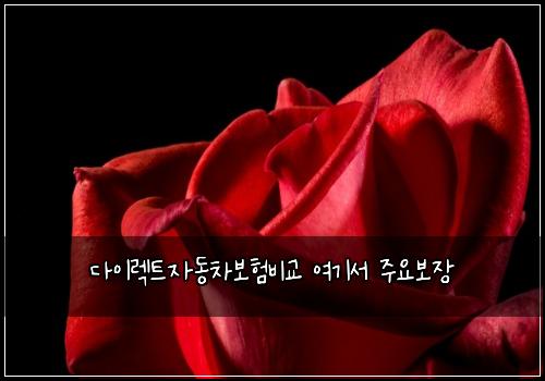 다이렉트자동차보험비교 여기서 주요보장
