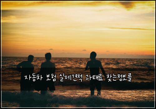 자동차 보험 실제견적  과태료 찾는정보를