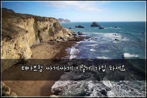 태아보험 싸게싸게  이렇게 가입 하세요