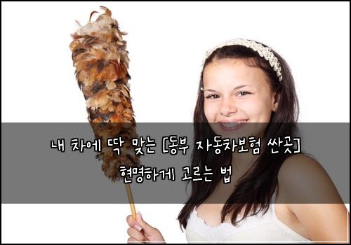  내 차에 딱 맞는 [동부 자동차보험 싼곳] 현명하게 고르는 법