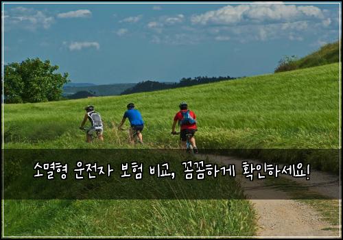 소멸형 운전자 보험 비교, 꼼꼼하게 확인하세요!