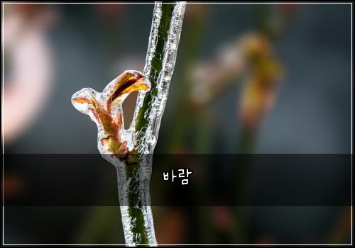 바람