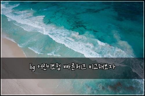lig ์ด๋ฆฐ์ด๋ณดํ ๋น ๋ฅธ์ฒดํฌ ๋น๊ตํด๋ณด์
