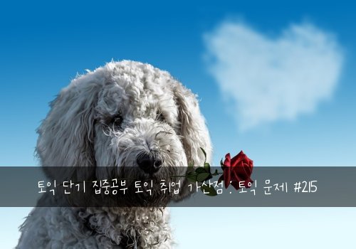 토익 단기 집중공부 토익 취업 가산점 : 토익 문제 #215