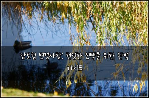 암보험 변경사항: 현명한 선택을 위한 완벽 가이드