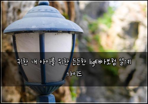귀한 내 아이를 위한 든든한 lig태아보험 설계 가이드