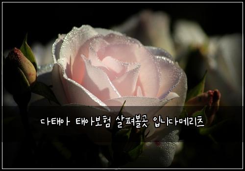 다태아 태아보험 살펴볼곳  입니다메리츠