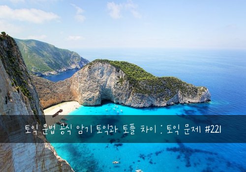 토익 문법 공식 암기 토익과 토플 차이 : 토익 문제 #221