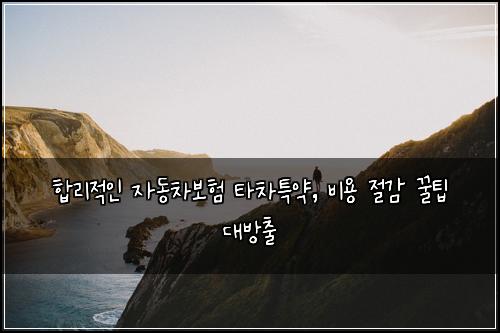  합리적인 자동차보험 타차특약, 비용 절감 꿀팁 대방출