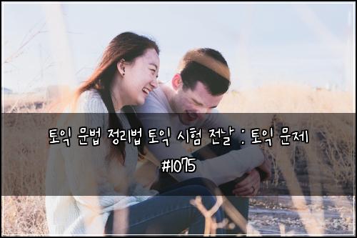 토익 문법 정리법 토익 시험 전날 : 토익 문제 #1075