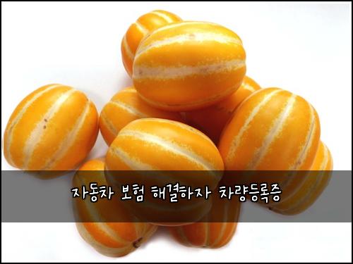 μλμ°¨ 보ν ν΄κ²°νμ μ°¨λλ±λ‘μ¦