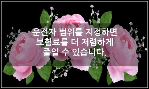 오늘의 이미지