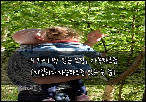  내 차에 딱 맞는 보장, 자동차보험 [제일화재자동차보험 있는 곳 좀]